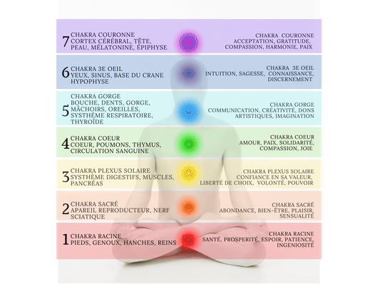LES CHAKRAS C'EST QUOI?