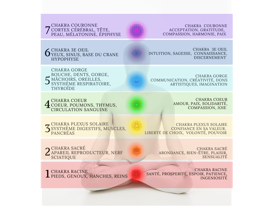 LES CHAKRAS C'EST QUOI?